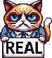 Real cat :realcat: :realcat:
