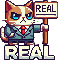 Real cat 2 :realcat2: :realcat2: