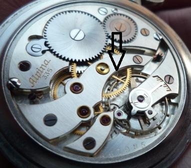 P1260986 - Kopia.JPG