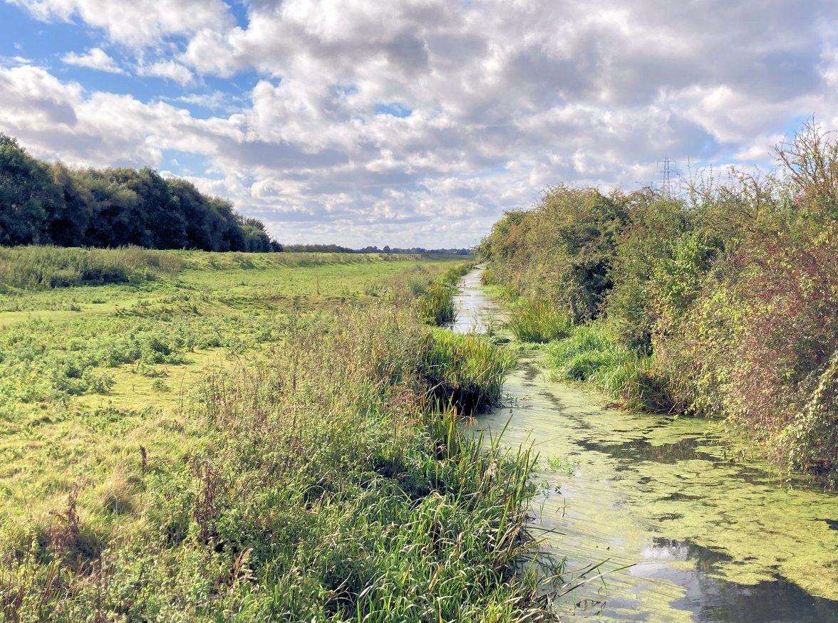 Drain 01 - Copys.jpg