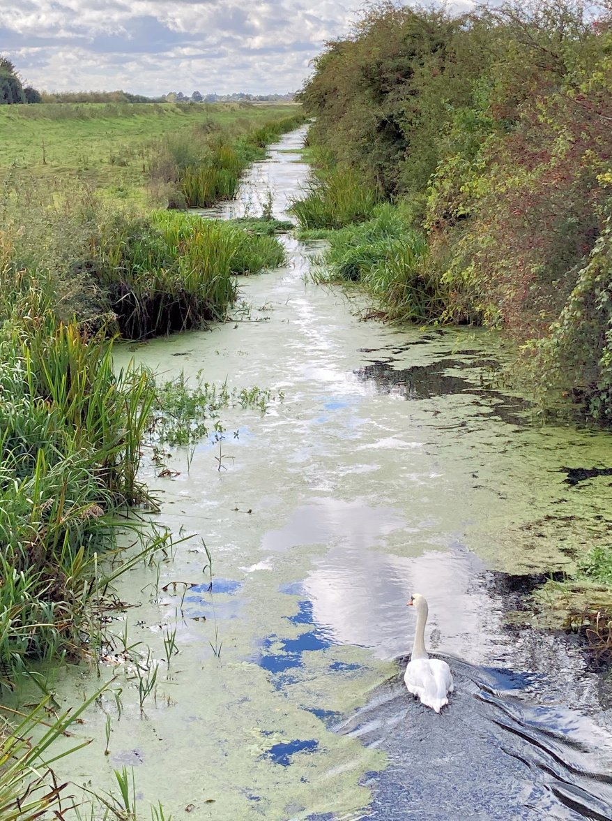 Drain 02 - Copys.jpg