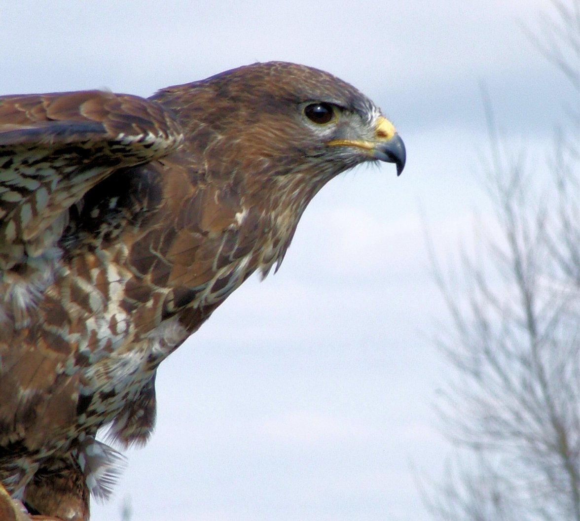 01 Ground - Copy.jpg