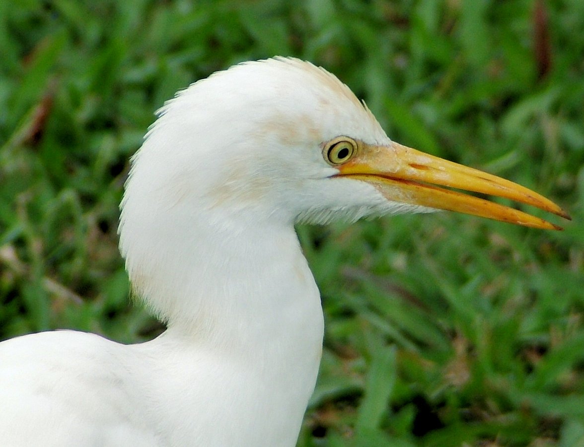 03 Ground - Copy.jpg