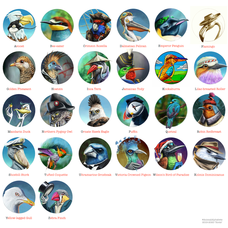 AnimalAlphabets_Birds_Complete_Insta copy.jpg