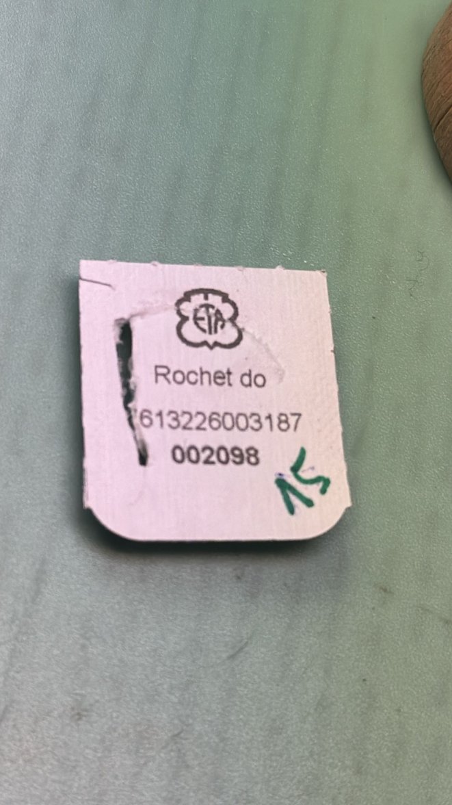 WhatsApp Image 2024-03-10 at 13.45.08.jpeg